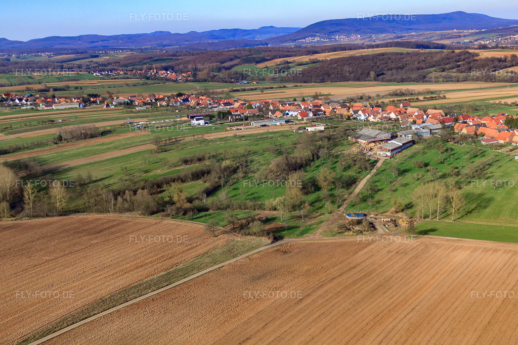 Luftbild: Ortsansicht von Westen in Forstheim im Bundesland Bas-Rhin in Frankreich. – Foto: IMG_38695.jpg vom 20.03.2011 durch Werner Riehm/FLY-FOTO.de – Auflösung des Originals: 4752 x 3168 px