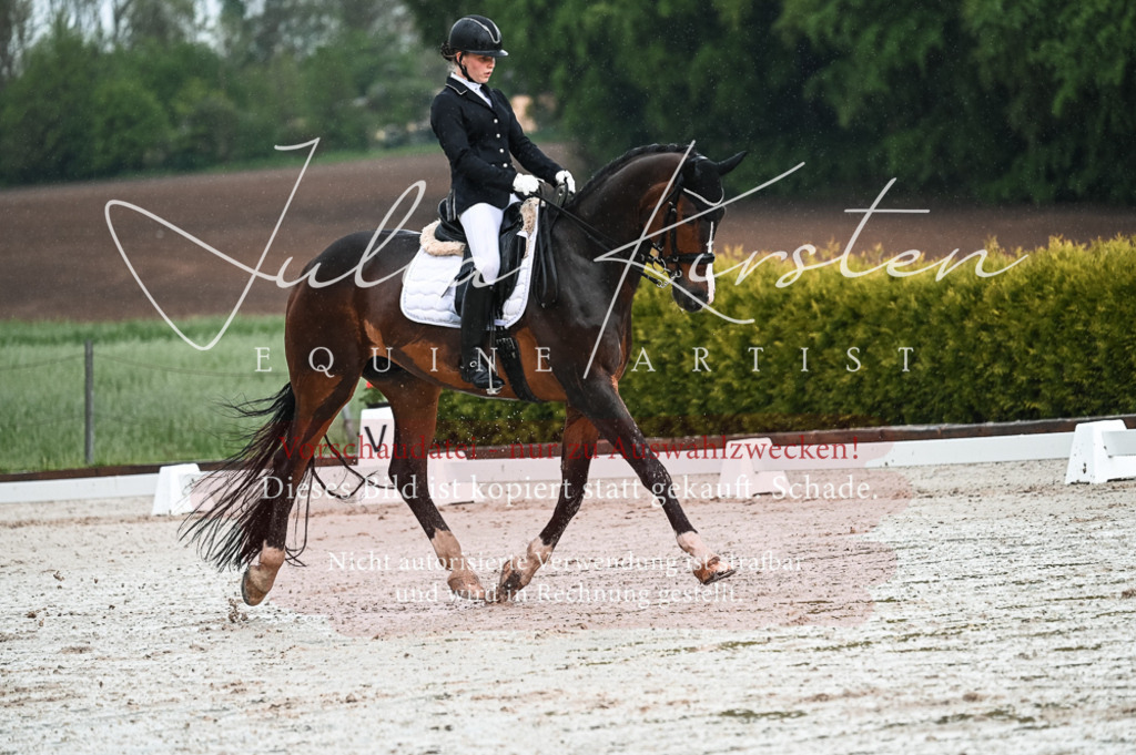 DSC_4146 | Pferde- und Turnierfotografie in Westsachsen. Pferdeportraits, Auftragszeichnungen und intuitive Kunst.