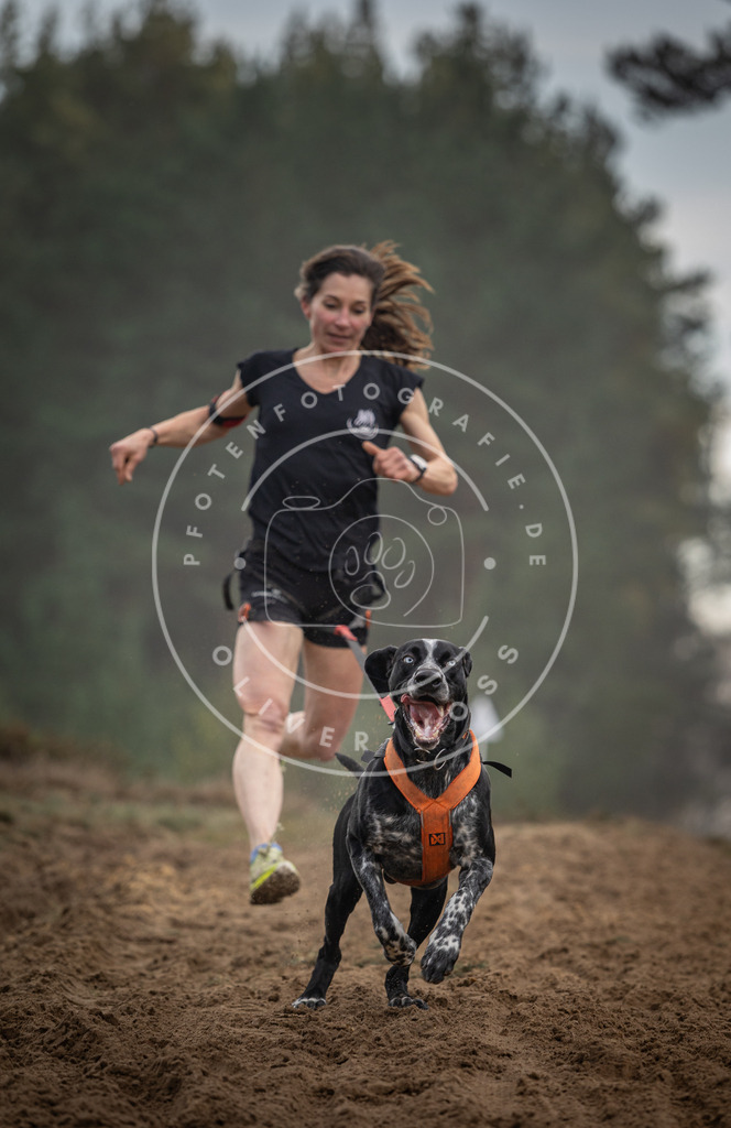 Pfotenfotografie_DV3A5734 | Hundefotografie, Tierfotograf, Pfotenfotografie, Fotoshooting Hund, Hunde Portrait, Hundesport, Hundeportraits, Heideshooting, Hunde, Sportfotograf, Hundefotograf, Turnierhundsport, THS,  - Realisiert mit Pictrs.com