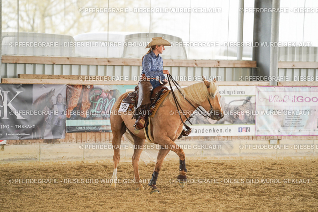 DSC05946 | Pferdegrafie