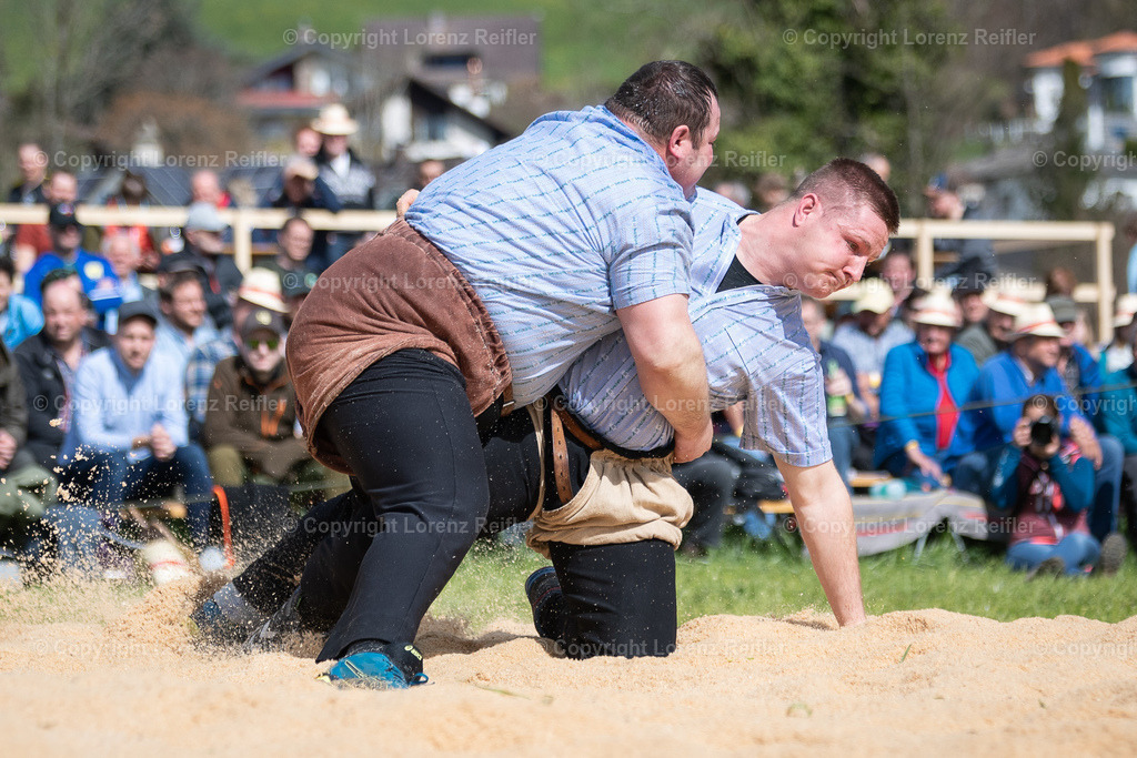 Schwingen -  Rheintal-Oberländer 2023 | Altstätten, 2.4.23, Schwingen - Rheintal-Oberländer.