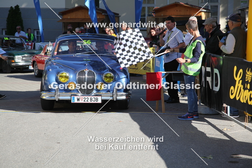 IMG_4256 | Gerhard Witt