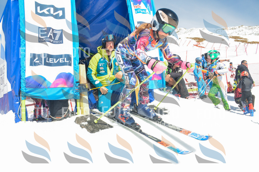 _ELE6178 | holidayphoto