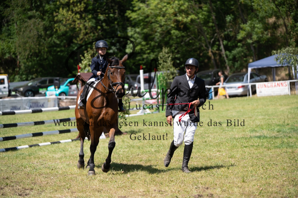 A7V06259 | Pferdefotograf