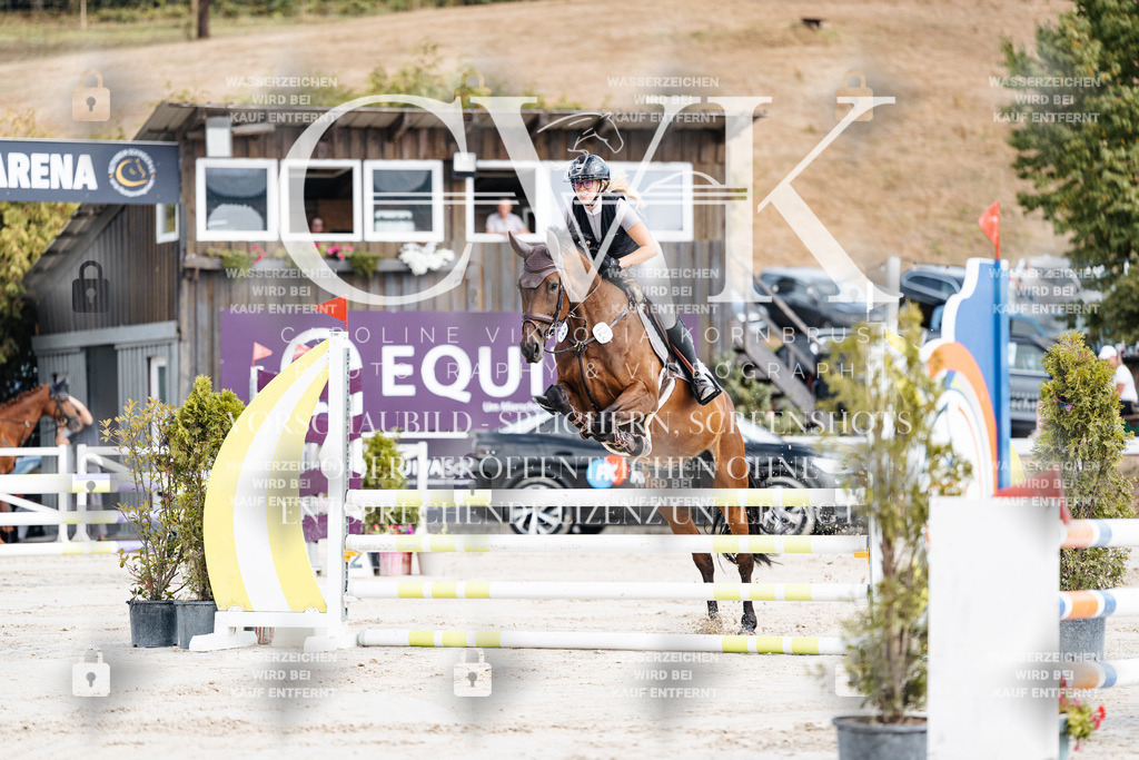 CK908953 | Turnierfotografie Pferdefotografie Trier Rheinland-Pfalz Pferdesport Reitsport Tierfotografie Sportfotografie Pferdevideo Pferdevideografie Equestrianvideography equestrianphotography  - Realisiert mit Pictrs.com