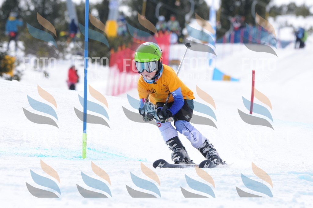 C7629 | holidayphoto