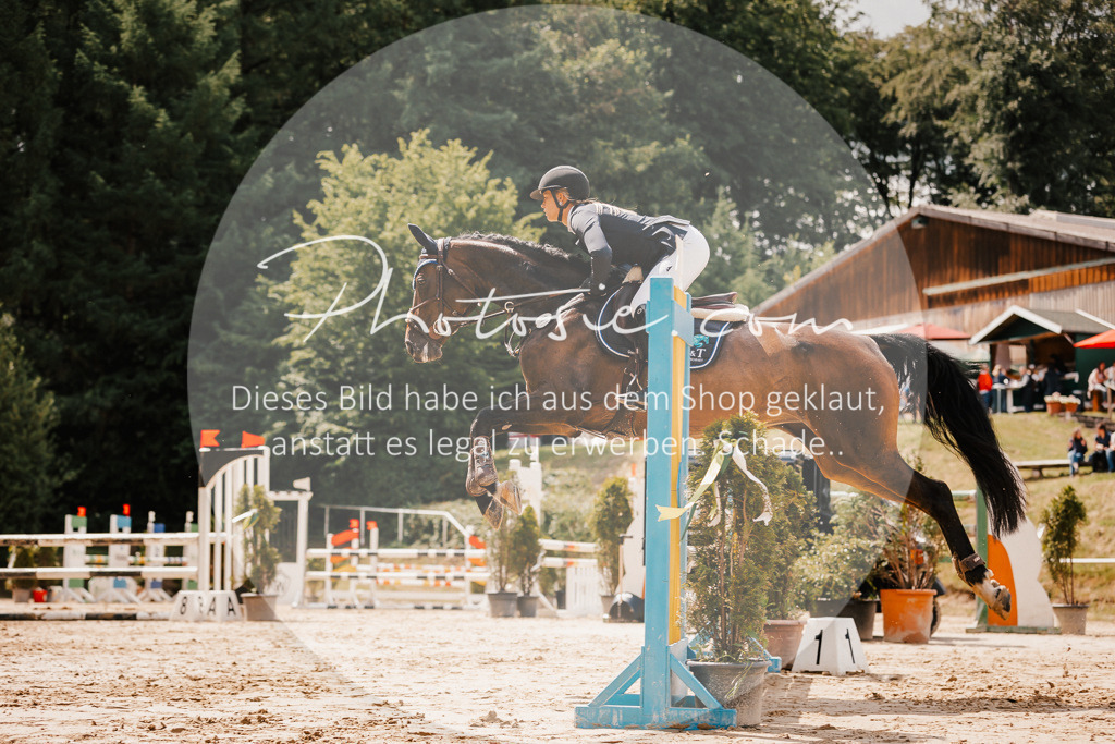 3I6A2385 | Stimmungsvolle Portraits und Reitsportfotografie im Ruhrgebiet und im Münsterland.

Pferdefotografie, Hundefotografie, Tierfotografie, Reportagen, Portraits von Tier und Mensch, Turnierfotografie in Bochum, Recklinghausen, Marl, Haltern am See, Dülmen.. - Realisiert mit Pictrs.com