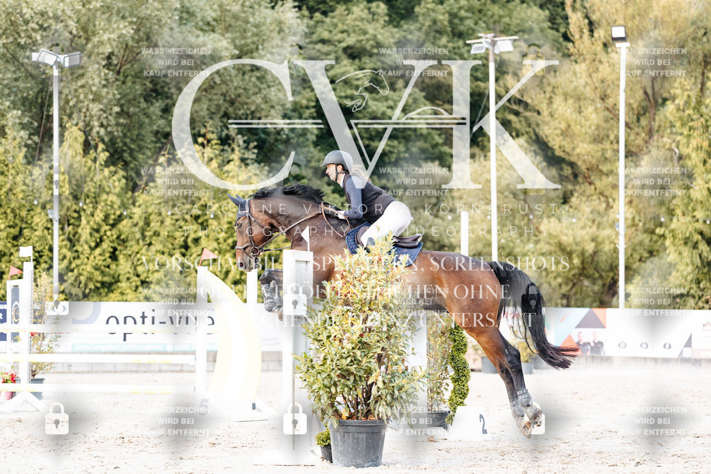 CK903991 | Turnierfotografie Pferdefotografie Trier Rheinland-Pfalz Pferdesport Reitsport Tierfotografie Sportfotografie Pferdevideo Pferdevideografie Equestrianvideography equestrianphotography  - Realisiert mit Pictrs.com