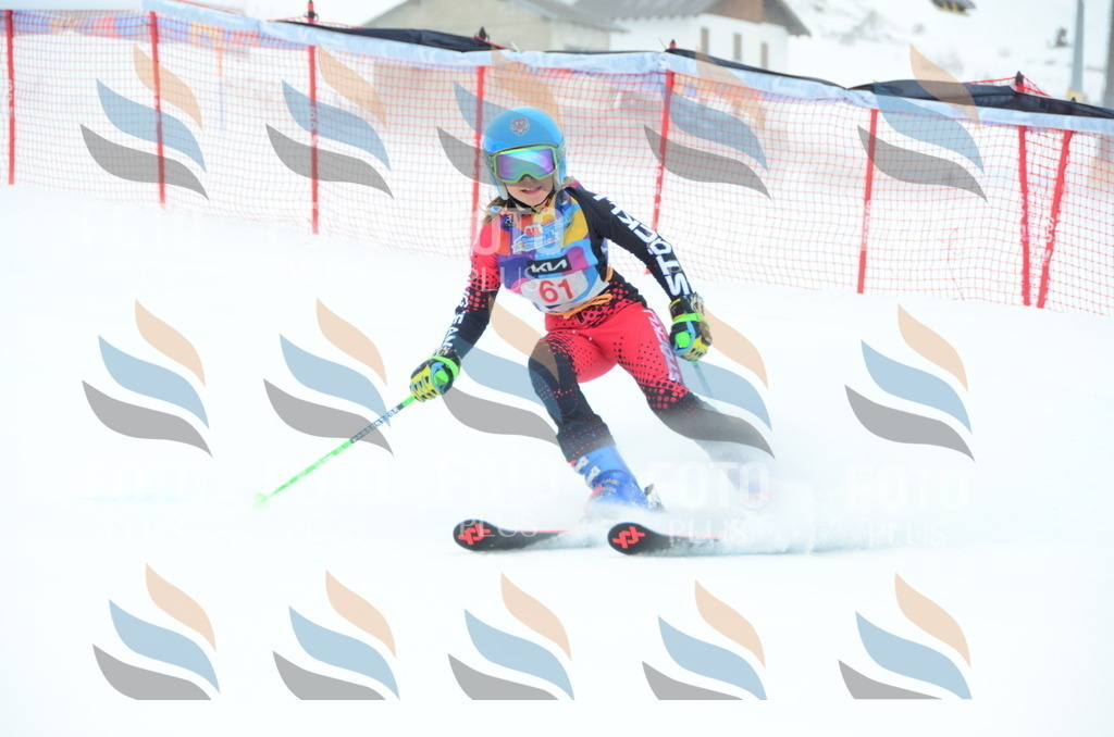 DSC_1012 | holidayphoto