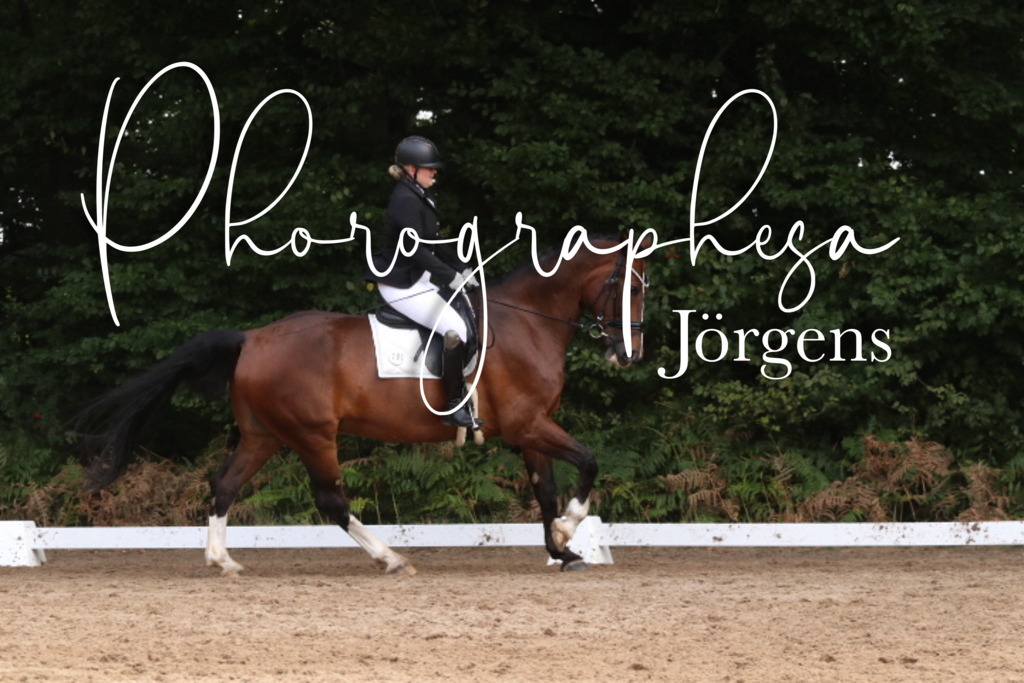 IMG_0242 | photographesa-joergens - Realisiert mit Pictrs.com