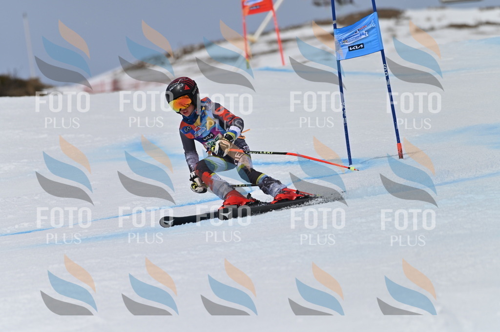 BGV_5261 | holidayphoto