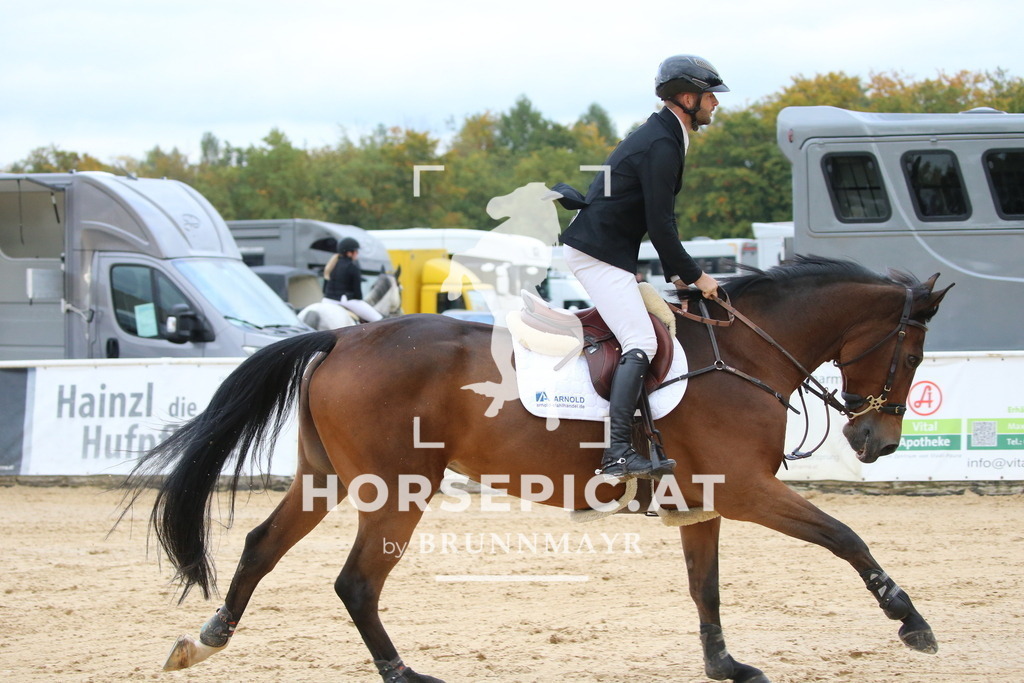 DL2Q5909 | Willkommen bei Brunnmayr - Design & Fotografie – Ihrem Spezialisten für Reitturniere und Pferdeveranstaltungen in Oberösterreich, Salzburg und Bayern! Seit über 17 Jahren sind wir leidenschaftlich dabei.