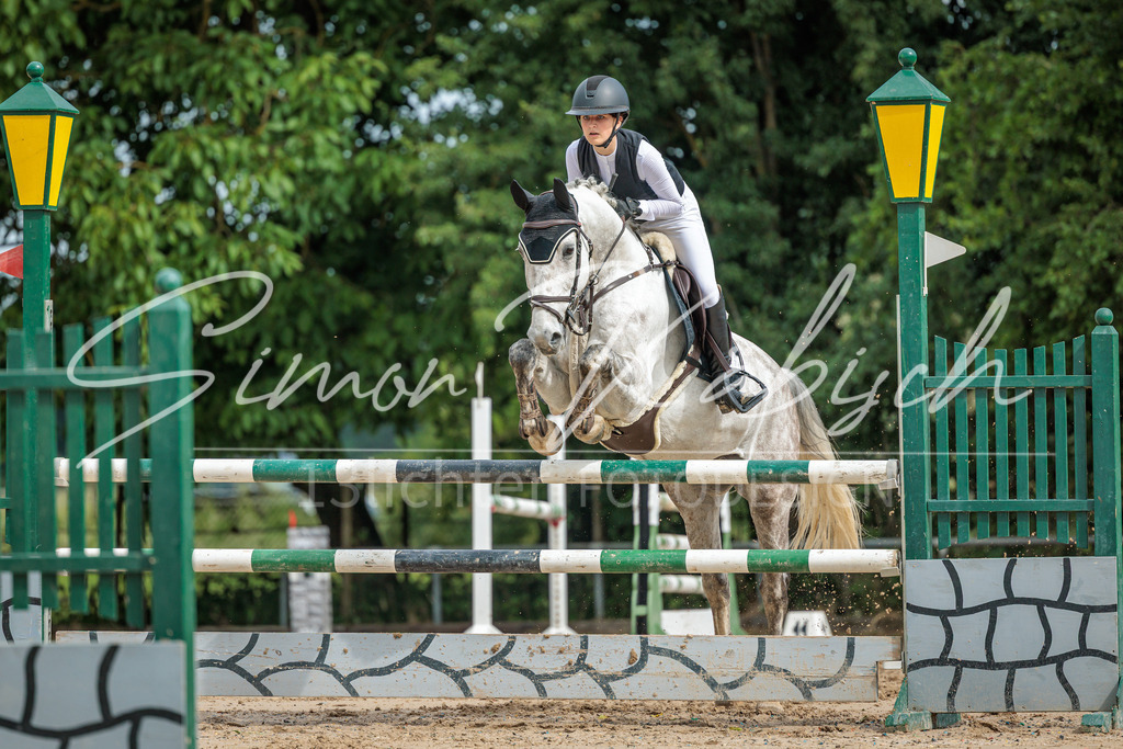 20260530-_3LI2455 | Tierfotografie Pferde, Hunde, Katzen, Haustiere.
Turnierfotografie Reitturniere, Reiten, Springreiten, Dressur in Hanau, dem Main-Kinzig-Kreis und dem Rhein-Main- Gebiet um Frankfurt