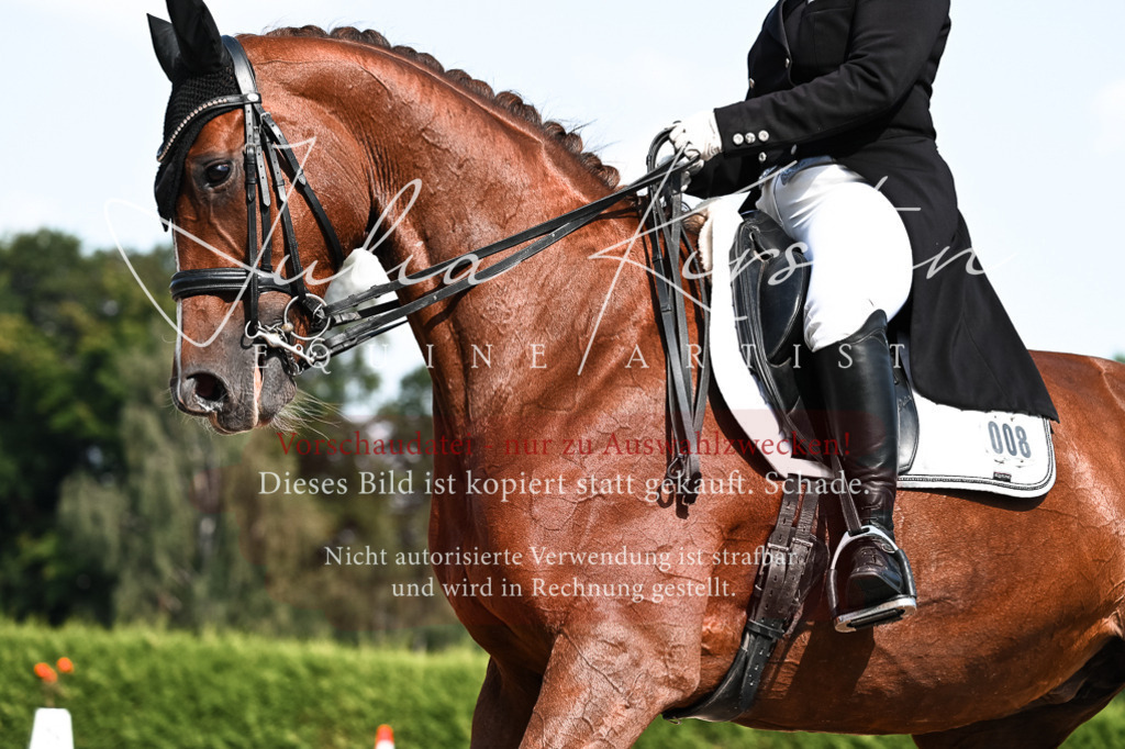 DSC_3262 | Pferde- und Turnierfotografie in Westsachsen. Pferdeportraits, Auftragszeichnungen und intuitive Kunst.