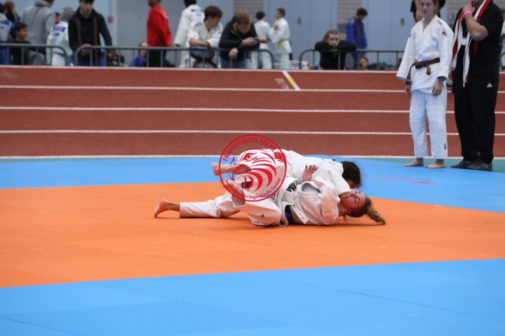 1J7A3546 | Fotos vom Adler Cup - Pictures from Adler Cup

Hier findet Ihr alle Eindrücke und großen Momente der Adler Cup Wochenenden. Here you will find all impressions and great moments of the Adler Cup weekends. - Realisiert mit Pictrs.com