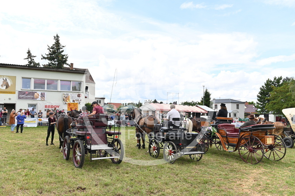 DSC_4241 | sattelsport - Realisiert mit Pictrs.com