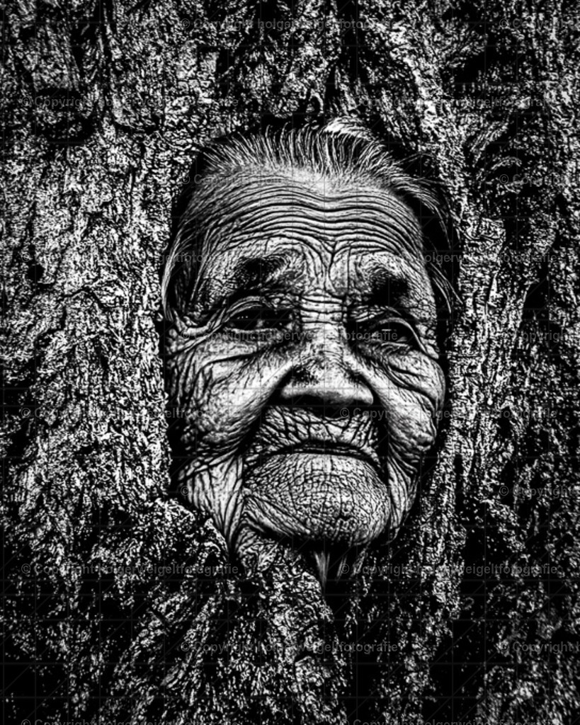 Frau Baum | Hier verschmelzen Fotografie und Künstliche Intelligenz - Realisiert mit Pictrs.com