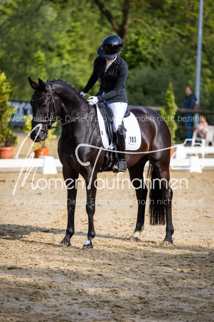 Donop24-A-Dre-128 | MomenTaufnahmen Pferdesportfotos