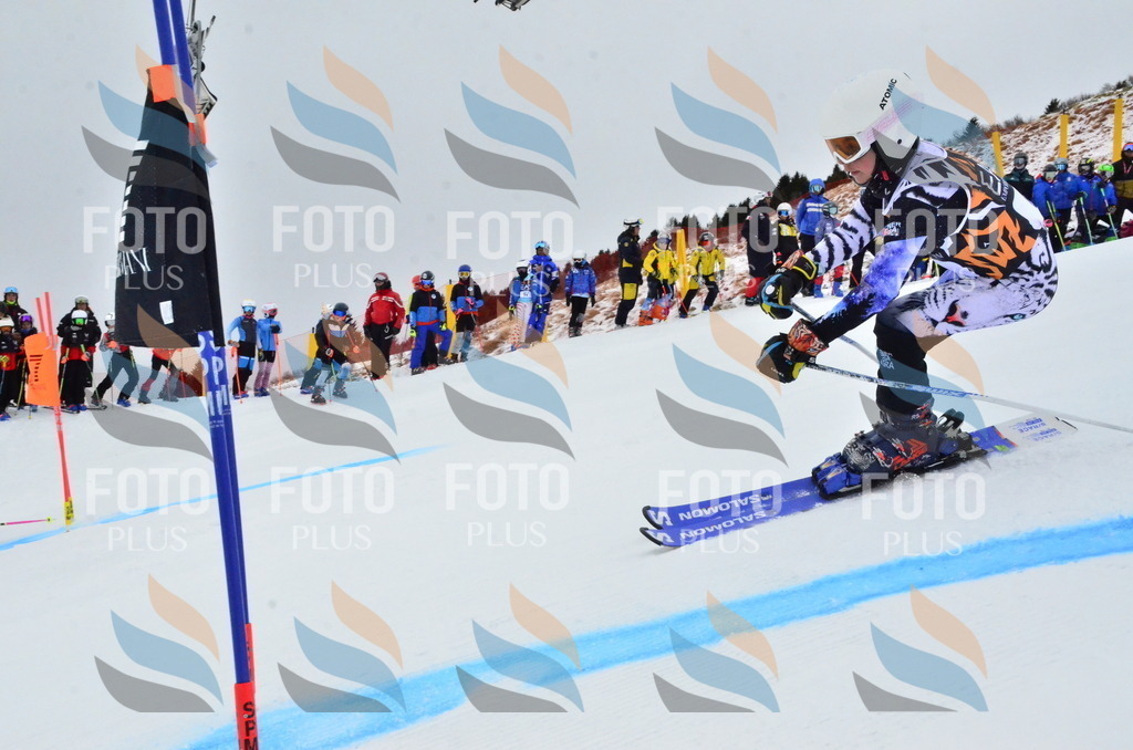 _ELE3145 | holidayphoto