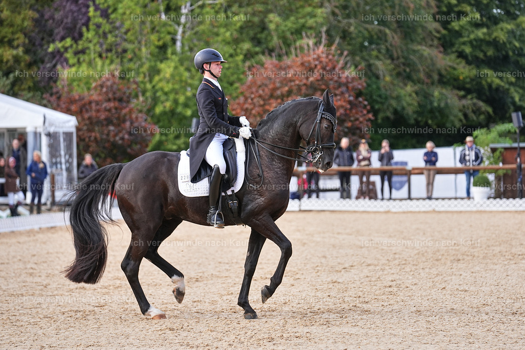13-229-S___ -Marixx-7062 | working equitationturnier fotograf videograf stoibphotography marixx film working equitation deutschland reitsport turnierfotografie eventfotografie equestrian events