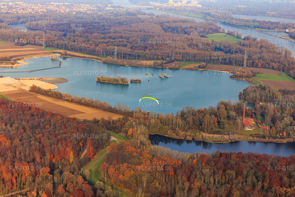 Luftbild: Paragleiter über Baggersee am Rhein in Hagenbach im Bundesland Rheinland-Pfalz in Deutschland. Foto: IMG_119833.jpg vom 24.11.2019 durch Werner Riehm/FLY-FOTO.de