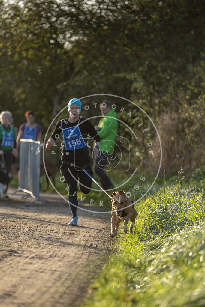 Pfotenfotografie.de_DV3A2554 | Hundefotografie, Tierfotograf, Pfotenfotografie, Fotoshooting Hund, Hunde Portrait, Hundesport, Hundeportraits, Heideshooting, Hunde, Sportfotograf, Hundefotograf, Turnierhundsport, THS, canicross - Realisiert mit Pictrs.com