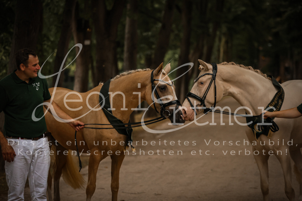 10.-12.Elite00157 | Leoni Ertmer Photography - Realisiert mit Pictrs.com