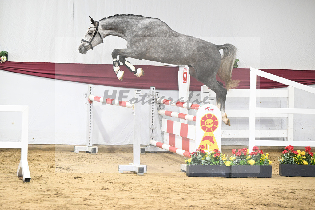 Kat-Nr. 12 I_m Special de Muze x Colman_Michaela Aeschbacher _47250188 | hf-fotografie - Realisiert mit Pictrs.com