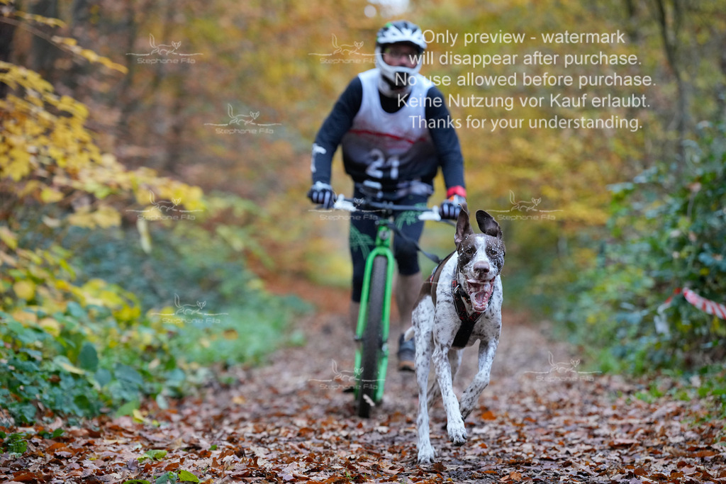 Scooter_So-23 | stephaniefillaphotographie - Realisiert mit Pictrs.com
