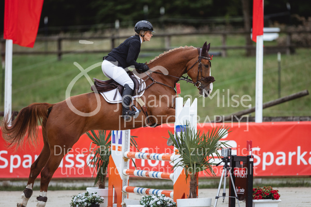 240712_BHO_A2-Springen-2-208 | Deine schönsten Turniermomente als professionelle Fotos! Entdecke hochwertige Pferdesport-Fotografie im Online-Shop. Jetzt Fotos finden & bestellen!