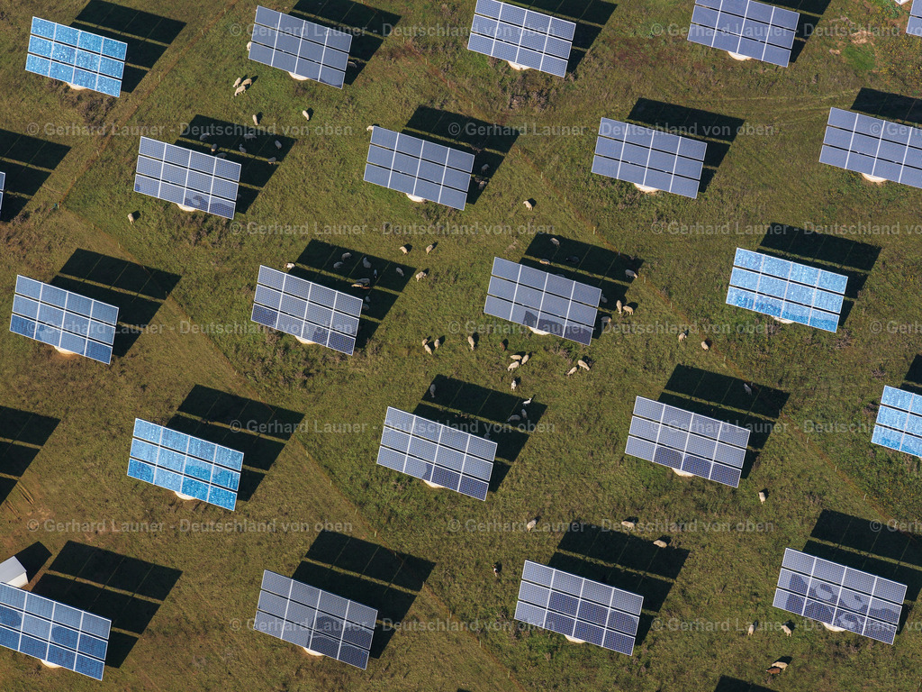 2690075 | Schafe  bei Gut Erlasee bei Arnstein