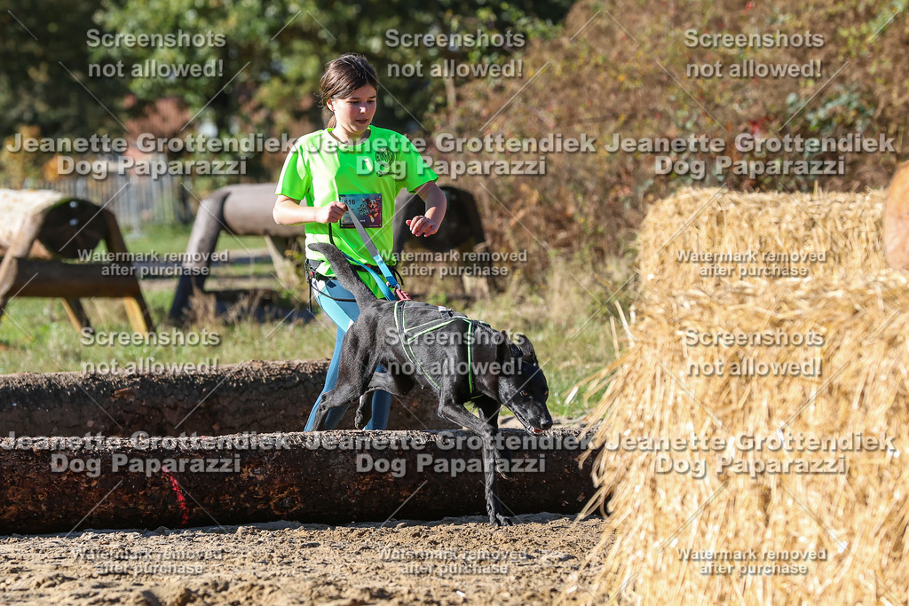 Dog Paparazzi - Strongdog 10-25-2386 | Dog Paparazzi Jeanette Grottendiek Fotografie & Videografie - Realisiert mit Pictrs.com