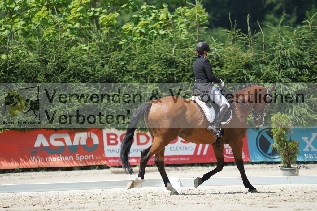 DSC05231 | equestrian-live-com
