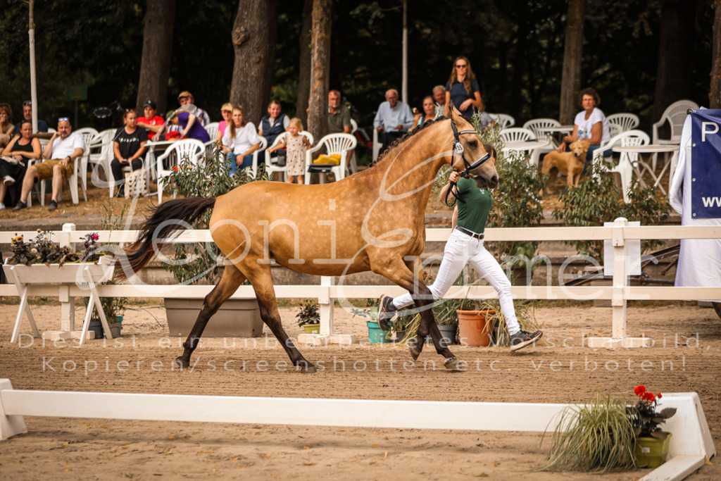 07.So00025 | Leoni Ertmer Photography - Realisiert mit Pictrs.com