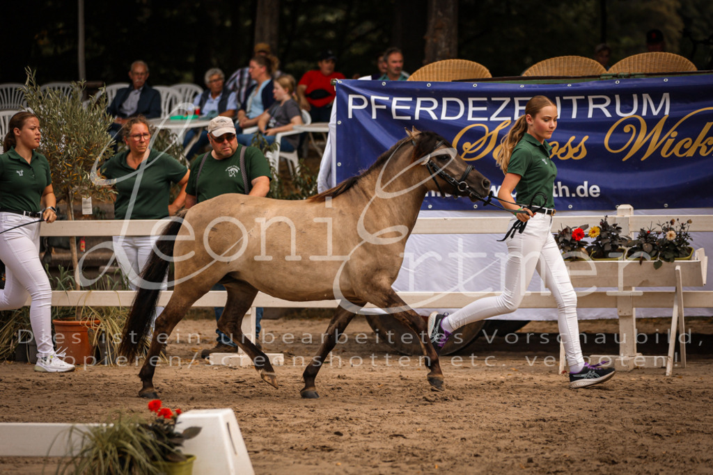 03.So00042 | Leoni Ertmer Photography - Realisiert mit Pictrs.com