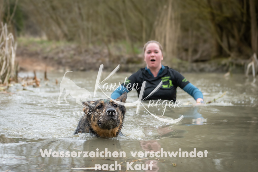1542_ZZ94046 | kk-dogfotos