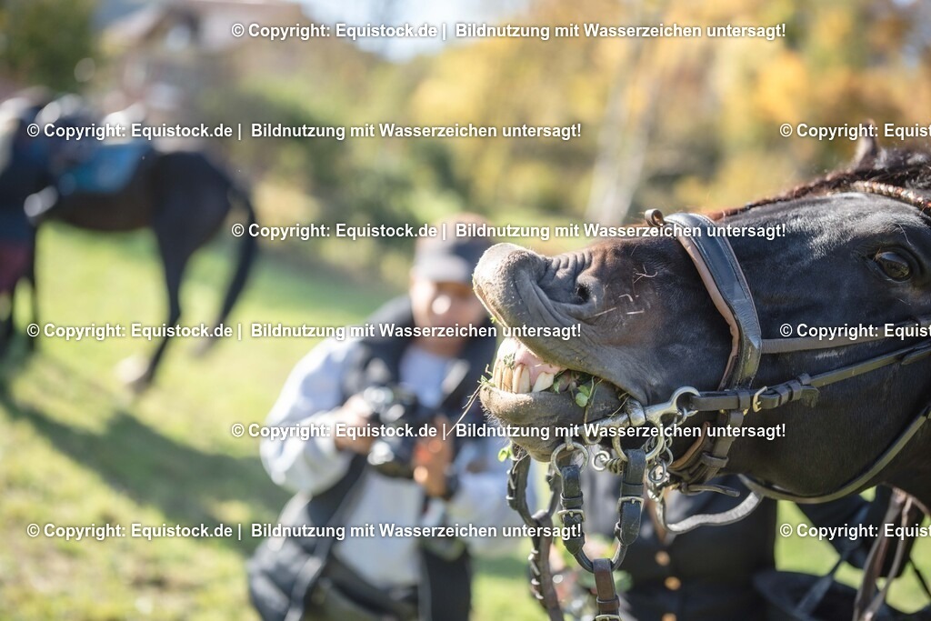 20251011_Jagd-Marbach_0720 | Foto: Thomas Hartig