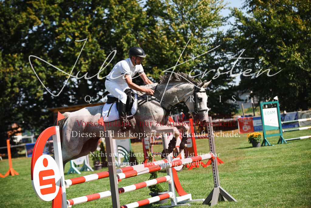 DSC_2700 | Pferde- und Turnierfotografie in Westsachsen. Pferdeportraits, Auftragszeichnungen und intuitive Kunst.
