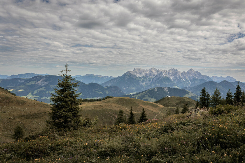 _W5A4612 | Sich an die einzigartigen Momente der Natur und Landschaft sowie die Begegnung mit heimischen wilden Tieren zu erinnern, dies kann man anhand den Bilder der Natur und Landschaftsfotografin Sandra Eimermacher.  - Realisiert mit Pictrs.com