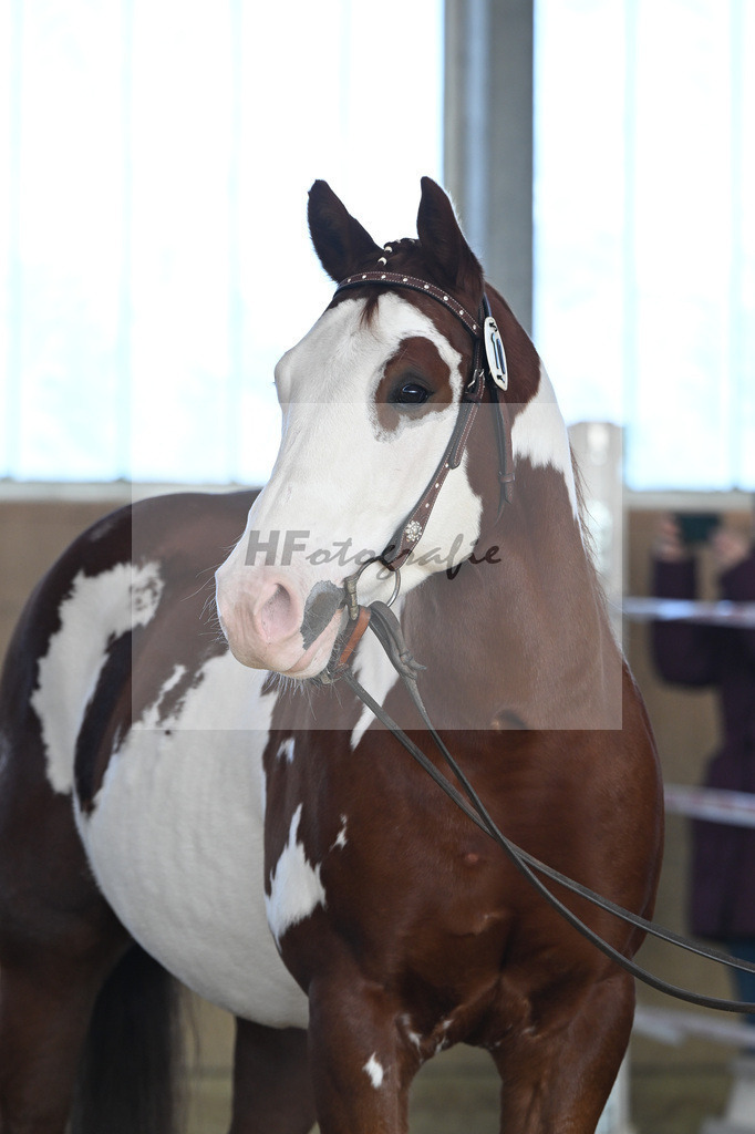 Kat-Nr. 10 ARH Like One Marvel v. One Gun_Reicherzer_49250486 | hf-fotografie - Realisiert mit Pictrs.com