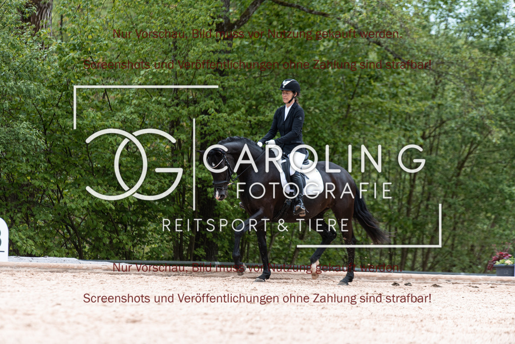 DSC_6847 | Turnierfotografin Carolin Gieschke,Reitsport Turnierfotografie Carolin G Fotografie | Turnierfotos aus Kirchheim/Teck, Esslingen, Stuttgart und dem Bodenseekreis