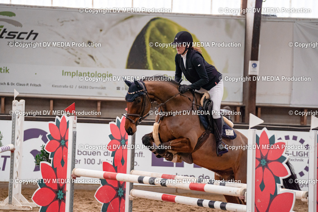 Kranichstein Tag 3-753 | dv-media-shop - Realisiert mit Pictrs.com