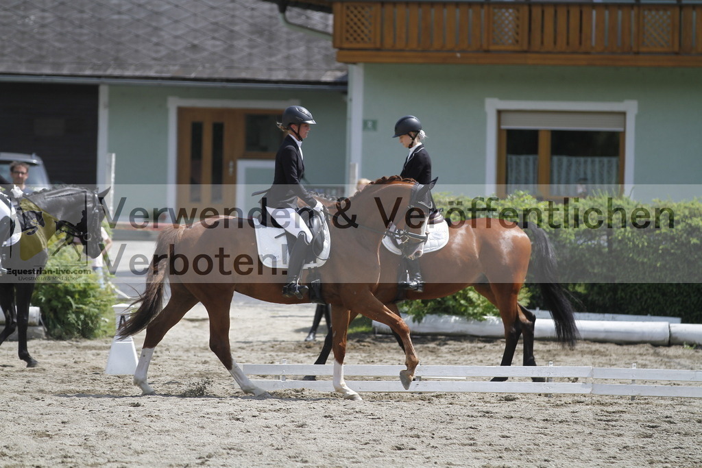 _MG_8429 | equestrian-live-com