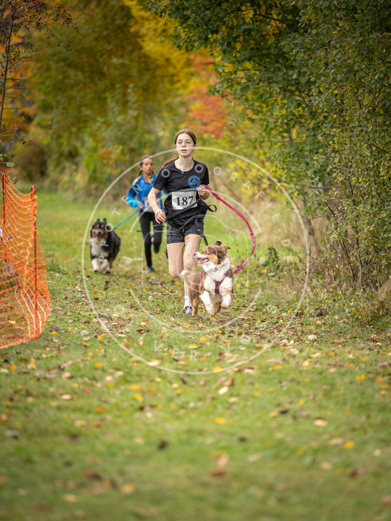 Pfotenfotografie_DV3A3627 | Hundefotografie, Tierfotograf, Pfotenfotografie, Fotoshooting Hund, Hunde Portrait, Hundesport, Hundeportraits, Heideshooting, Hunde, Sportfotograf, Hundefotograf, Turnierhundsport, THS,  - Realisiert mit Pictrs.com