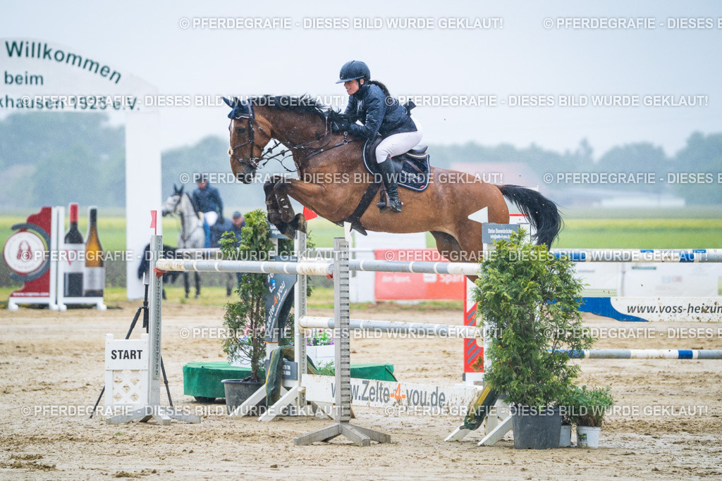 DSC00062 | Pferdegrafie