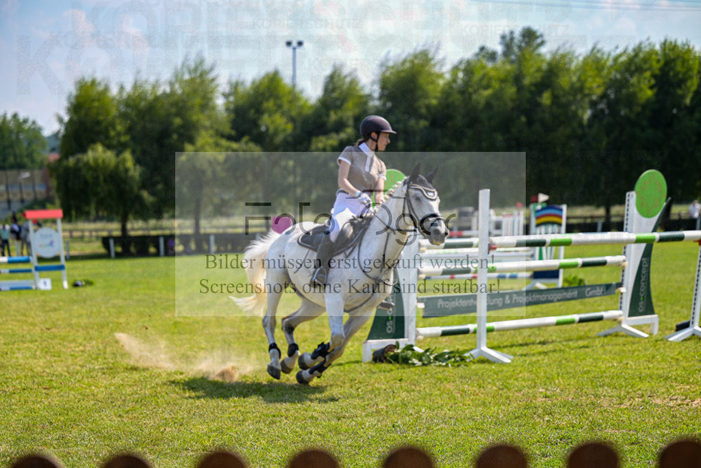 Reitturnier Voxtrup | Entdecke hochwertige Reitturnierfotos von Foto Oger. Professionell, emotional und authentisch – jetzt Lieblingsmomente im Shop bestellen. - Realisiert mit Pictrs.com