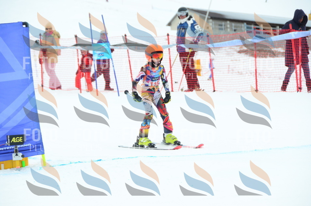 DSC_1221 | holidayphoto