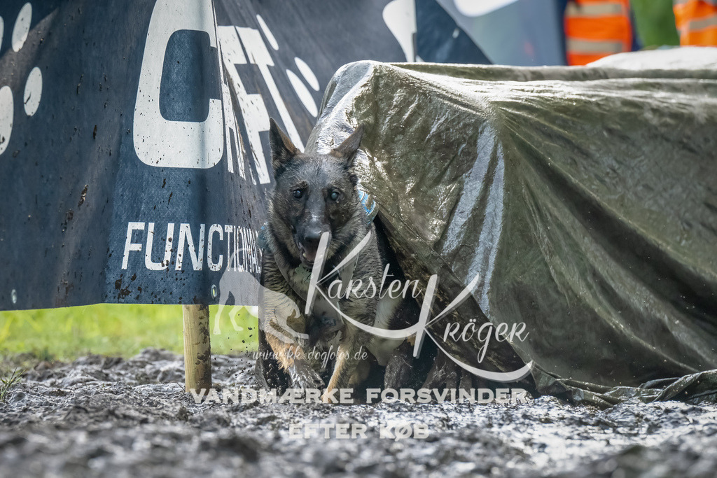 1111_ZZ93468-Bearbeitet | kk-dogfotos