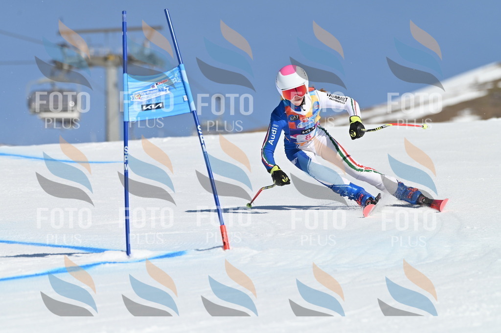 BGV_7709 | holidayphoto