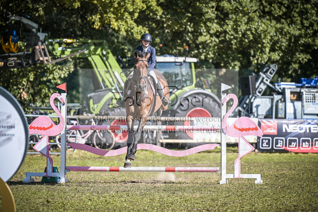 DOS_0448 | Entdecke hochwertige Reitturnierfotos von Foto Oger. Professionell, emotional und authentisch – jetzt Lieblingsmomente im Shop bestellen.Deutschlandweite Turnierfotografie. - Realisiert mit Pictrs.com